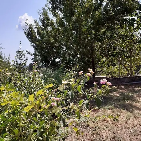 Corfu Cosy By The Nature Vakantiehuis *