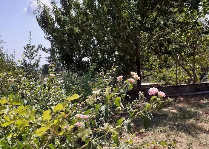 Corfu Cosy By The Nature Vakantiehuis *